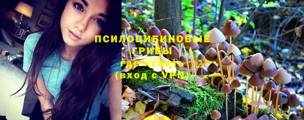 ешки Балахна