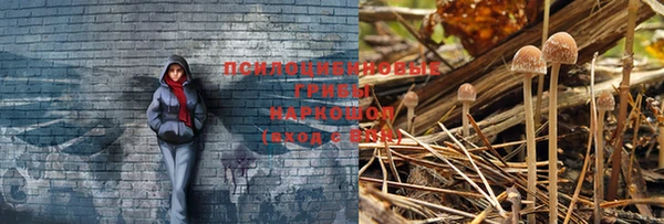 mix Беломорск