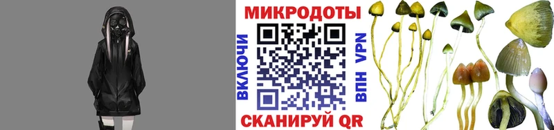 ОМГ ОМГ как войти  Вуктыл  Галлюциногенные грибы мухоморы 